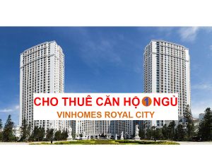 Cho thuê căn hộ 1 ngủ Royal City