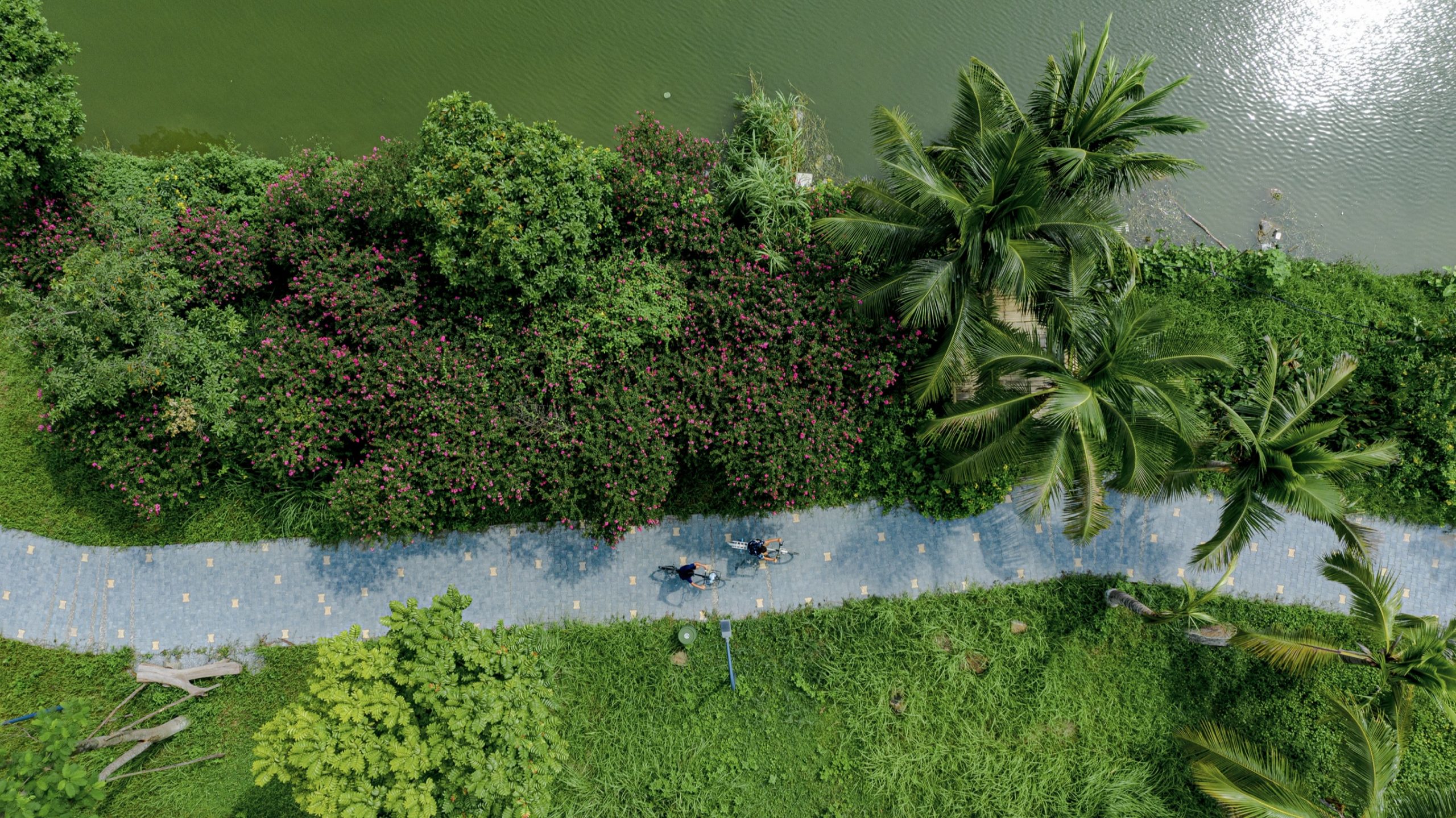 Biệt Thự Đảo Ecopark Grand