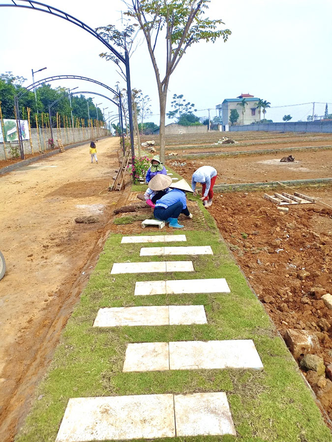 Hình ảnh thực tế khu phân lô Hoà Thạch